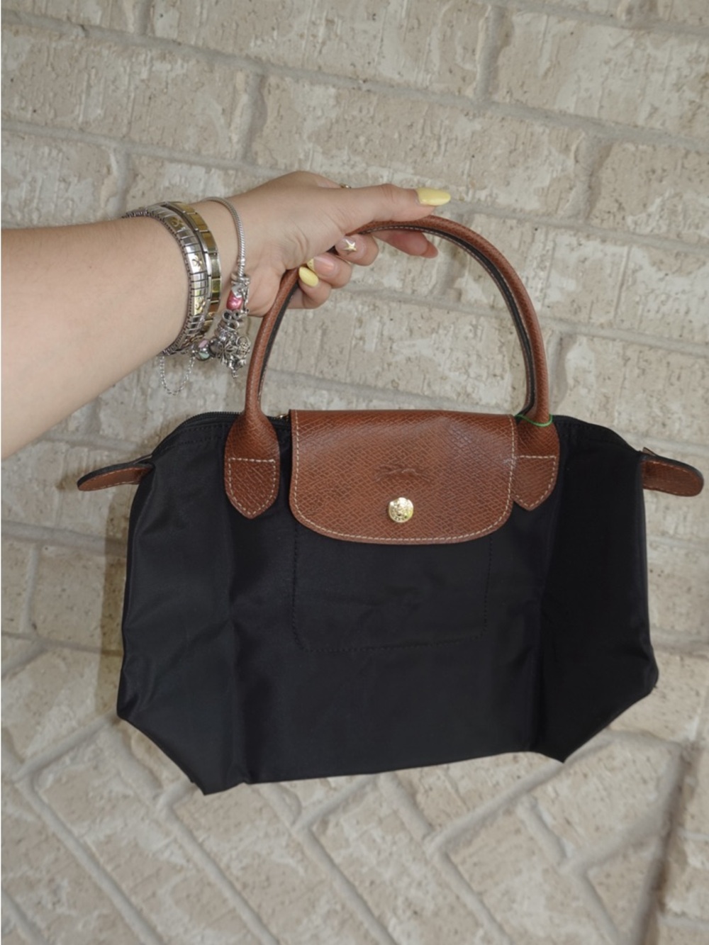 Classic Black Tote with Brown Leather Trim - Long Champ Size Small
